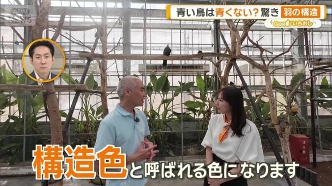 光の反射で青っぽく見えている