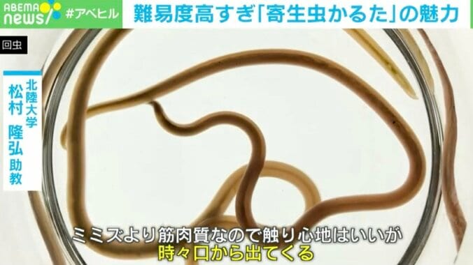 【写真・画像】　3枚目