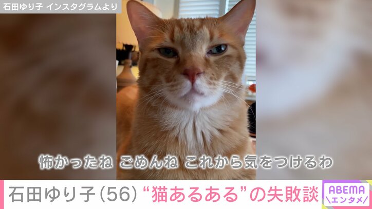 【写真・画像】生活感あふれる自宅が話題・石田ゆり子(56)「お靴の部屋のドア開けたらそこに居たんだね」“猫あるある”の失敗エピソード 2枚目