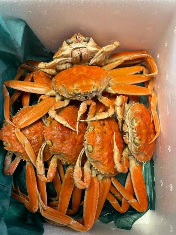  高橋真麻、Amazonで奮発して購入した品「たっぷり堪能したので暫くは満足」 