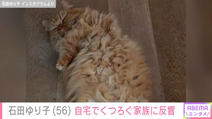 【写真・画像】生活感あふれる自宅が話題・石田ゆり子(56) “約1カ月ぶり”自宅でくつろぐ家族を紹介し近況を報告　1枚目