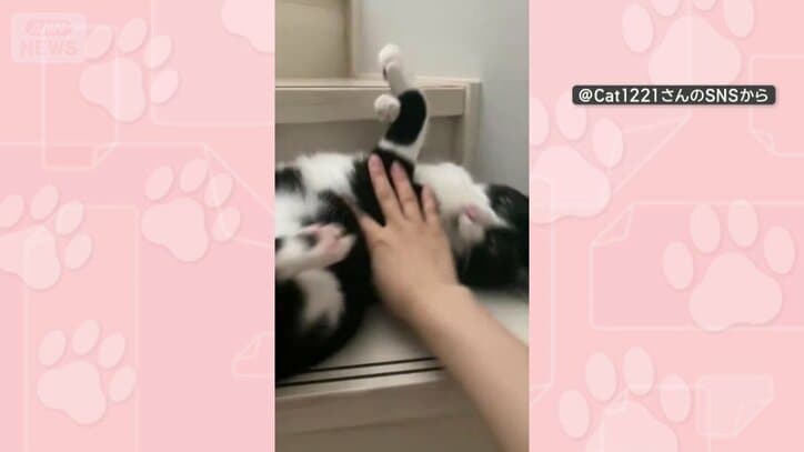 飼い主さんが手で押さえても…クネクネ