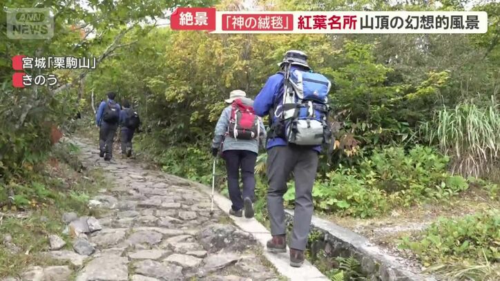 麓から続く急こう配の坂