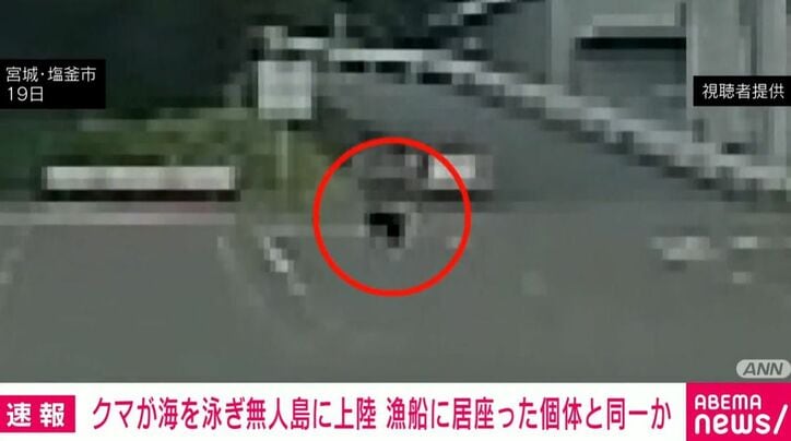 クマ