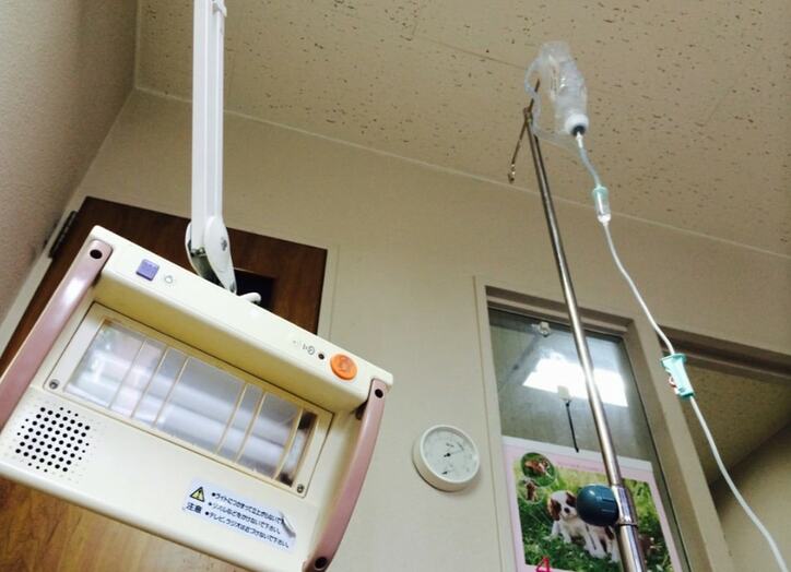  女優・友寄蓮、白血病と発覚し仮病扱いしていた母親に「ほらやっぱり病気じゃん！」 