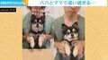 ママと楽しく踊る犬 パパに変わった後の豹変ぶりに「頑張って」と同情の声