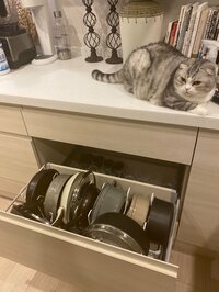 くみっきー『断捨離モード！』