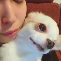 広瀬アリス、愛犬と戯れる動画公開に「犬にしてください」と反響