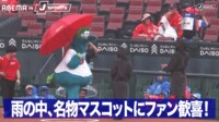 【映像】雨天のスタジアムに咲く赤い傘?名物マスコットの姿にファン歓喜