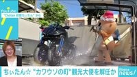 けやきヒルズ - ネットピ - カワウソの町に“ちぃたん☆”への苦情殺到 観光大使大使を解任か 他 (19/01/17) | 動画視聴は【Abemaビデオ(AbemaTV)】
