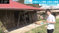 台風・停電の次は「カビ」被害