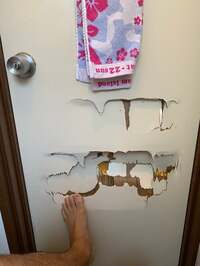 森渉『ご報告です。』