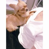 岡井千聖『マイナスなんすよー!意外と!』