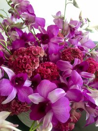 稲垣吾郎『午前に想う』