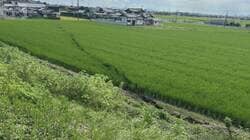 熊本地震で断層沿いに地割れ　「地下水都市」液状化被害拡大の恐れ　専門家が調査