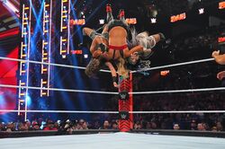 女子レスラーが“美しすぎる”空中合体技！ 驚異の身体能力に投げた方もスゴいが「受けた方もスゴい」と驚きの声