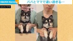 ママと楽しく踊る犬 パパに変わった後の豹変ぶりに「頑張って」と同情の声