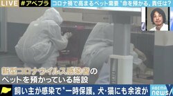 ペットたちの暮らしにもコロナ禍が大きな影を落とす…環境省の業者規制案に課題も