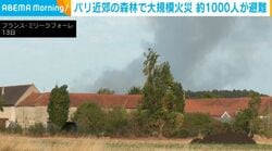パリ近郊の森林で大規模火災 約1000人が避難