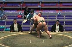 「え、軍配壊れた？」行司“転倒”のアクシデント 館内に響いた大きな音にざわめき「割れる音が」「大丈夫？」心配、安堵の声も
