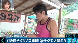 カブトムシやコケを売って年間3000万円の売上も…日本の山が持つ意外なポテンシャル