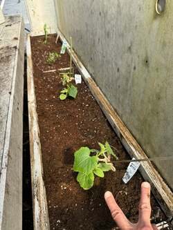  杉浦太陽、三男の学校見学に行ったことを報告「友だちと仲良く楽しそうにしてて」 