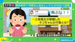 絶体絶命!? 投稿者が「飛ぶな!!」と懇願した猫の行動が「『何か問題でも？』って顔してる」と話題