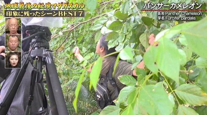 「ふざけんな！」ナスD、ロケ撮影中にブチギレ！ スタッフにマウント取られ“カメレオン愛”が沸騰  1枚目