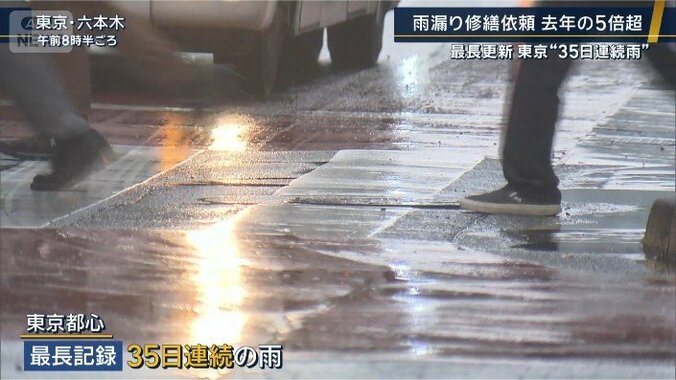 35日連続で雨