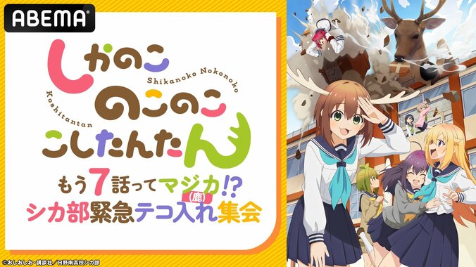 【写真・画像】アニメ『しかのこのこのここしたんたん』キャスト出演特番が放送決定！潘めぐみ、藤田咲、田辺留依、和泉風花ら“シカ部”が集結　1枚目