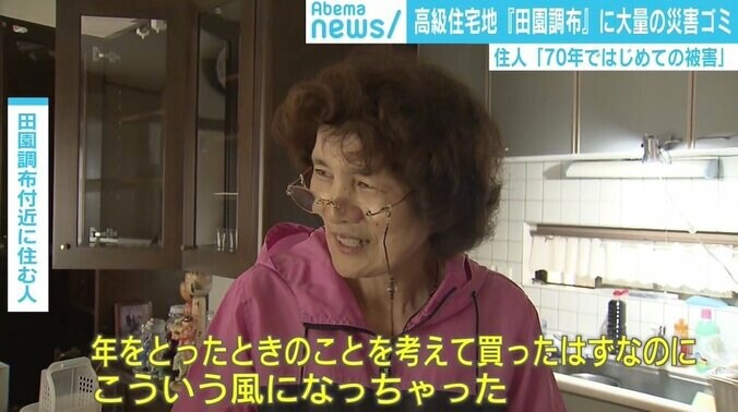 「報道されない被災地」田園調布に大量の“高級災害ゴミ” 都市開発で“隠された”地名の意味 4枚目