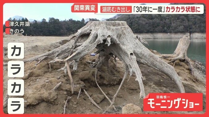 関東異変「30年に一度」カラカラ状態に　乾燥が野菜に影響　日本海側に再び寒波襲来も 1枚目