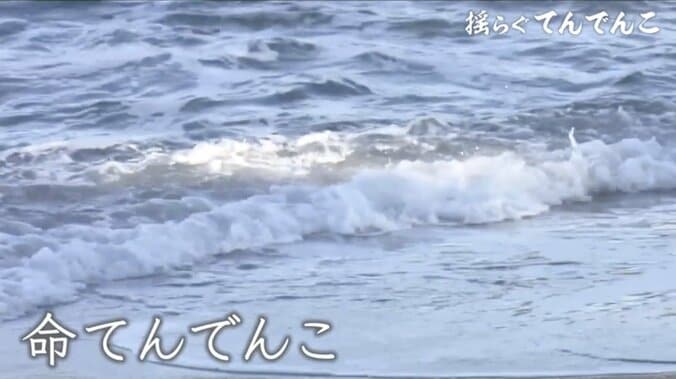 本当は多くの犠牲があった「釜石の奇跡」…それでも「命てんでんこ」…3.11を生き延びた人々が抱え続ける“葛藤” 5枚目