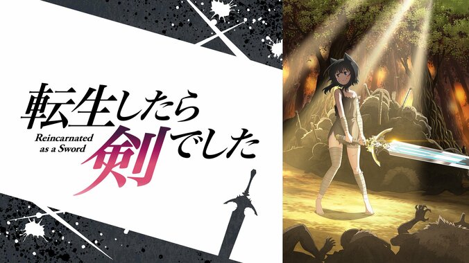 転生したら剣でした