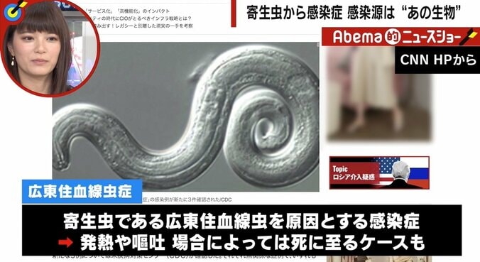 420日間の昏睡の末に死亡例も…　夏休み前に知っておくべき「ハワイ」の“意外”な危険　 2枚目