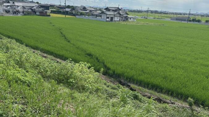 熊本地震で断層沿いに地割れ　「地下水都市」液状化被害拡大の恐れ　専門家が調査 1枚目
