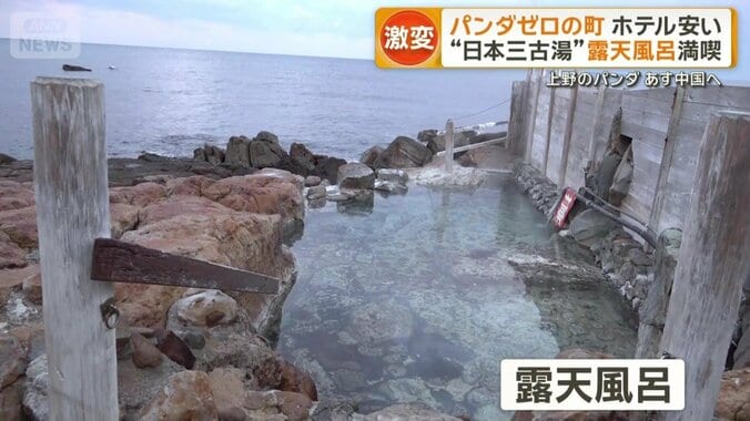 視界いっぱいに海が広がる露天風呂