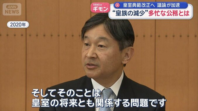 皇室典範改正のギモン “皇族の減少”多忙とされる「公務」とは？ 1枚目