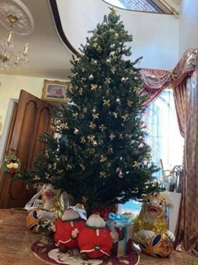  デヴィ夫人、玄関に飾った巨大なクリスマスツリーを披露「この季節が私は大好き」  1枚目