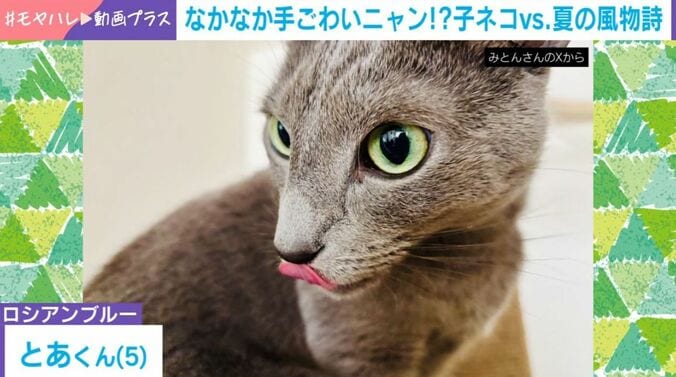 とあくん