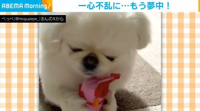 ぺっぺちゃん