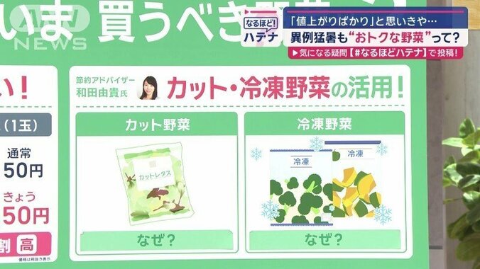 価格高騰の中でお得にサラダを作る方法（1）