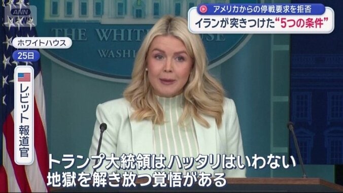 レビット報道官