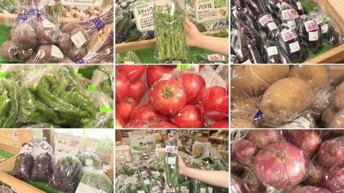 新鮮な野菜が並ぶ