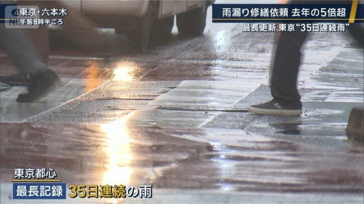35日連続で雨