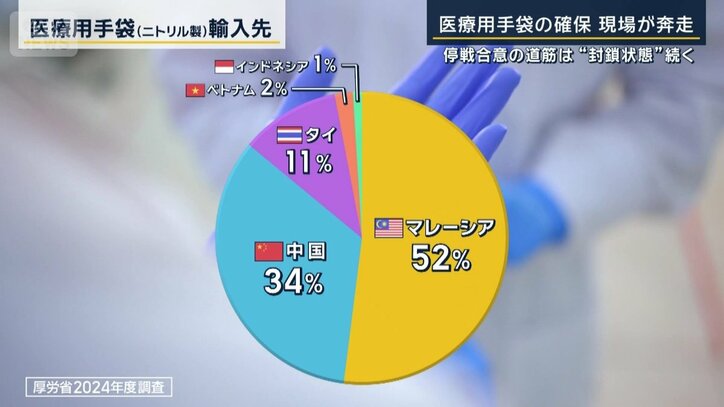 医療用手袋輸入先
