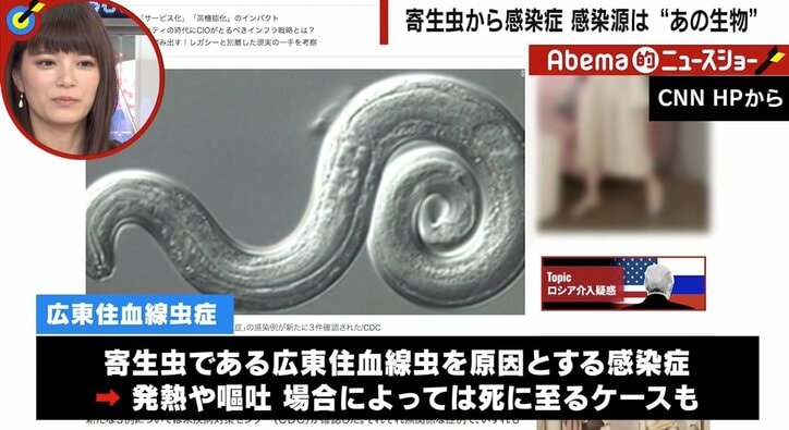 420日間の昏睡の末に死亡例も… 夏休み前に知っておくべき「ハワイ」の“意外”な危険