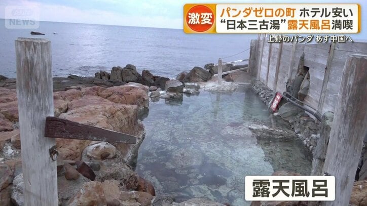 視界いっぱいに海が広がる露天風呂