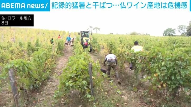 仏・ロワール地方
