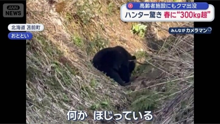 土を掘るようなしぐさ